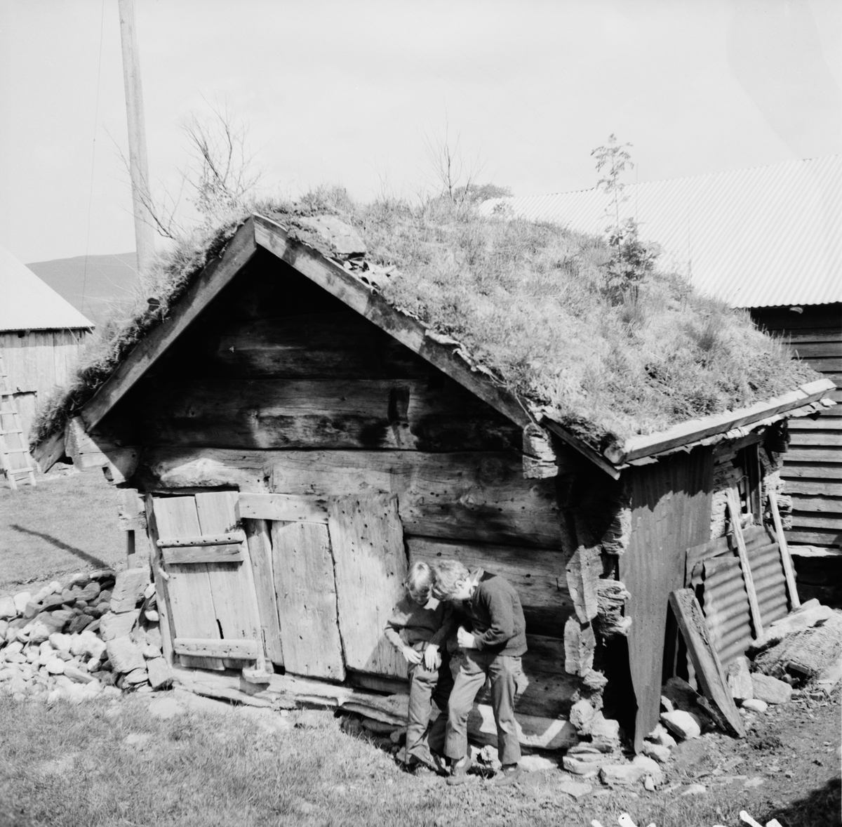 Dokumentasjonsbilder i serie av et lite, gammelt hus. Skal ha vært brukt av ei gammel kone.