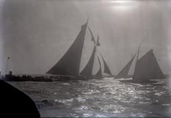 Seilbåter i regatta. Keiser Wilhelm IIs 'Meteor' i Horten un