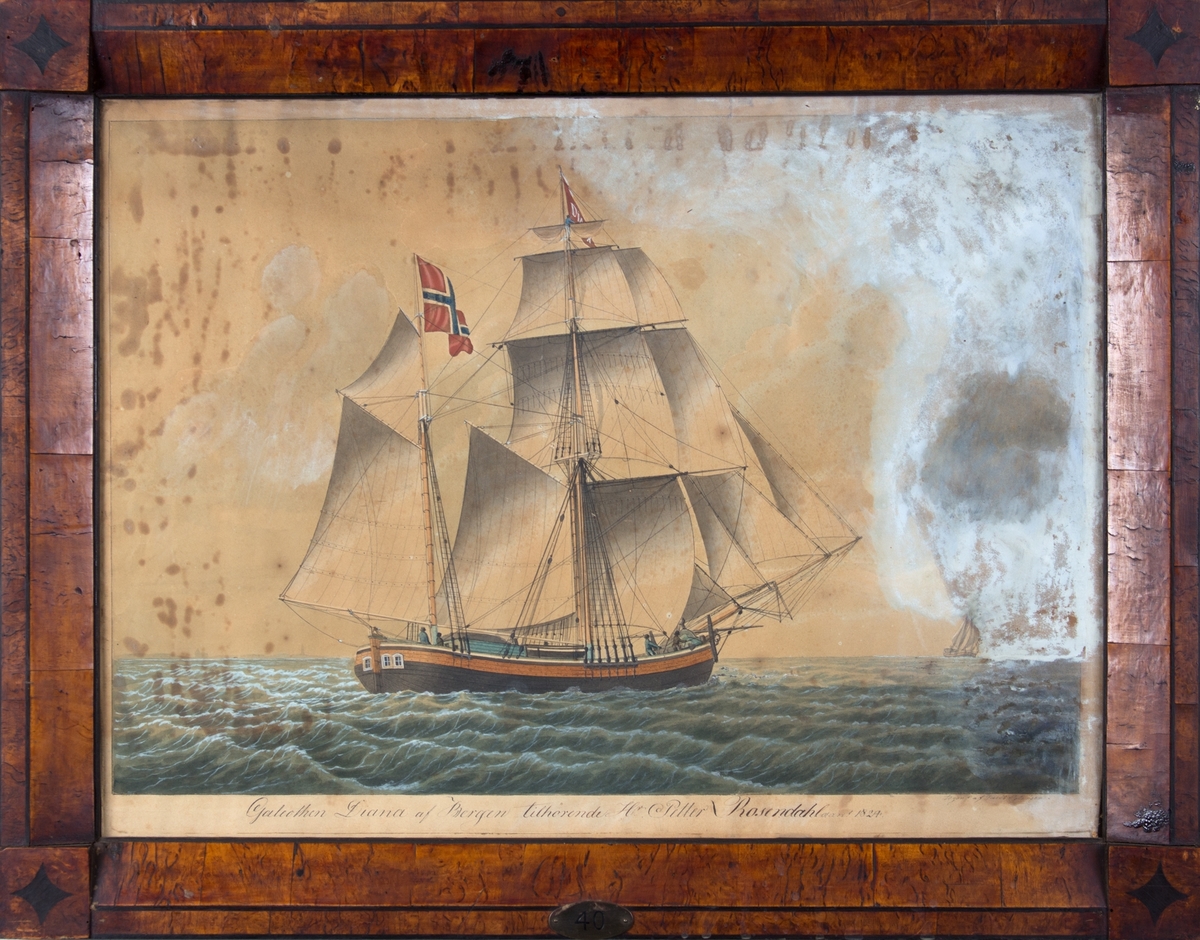 Skipsportett avkof-skonnerbrigg (galeot) DIANA for fulle seil mednorsk flagg i mesanmast. Store skader på høyre side av skipet.