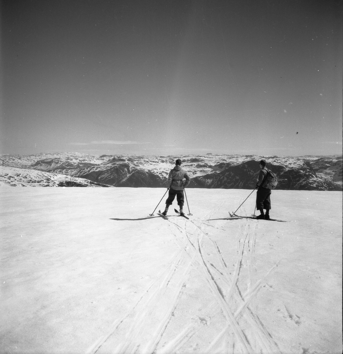 Skiløparar på Folgefonna med Hårteigen i aust