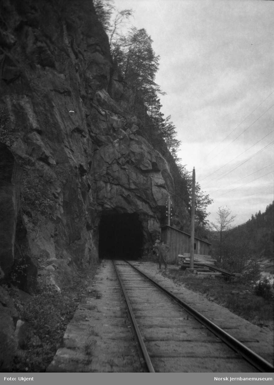 Løyning tunnel, søndre inngang med banebu