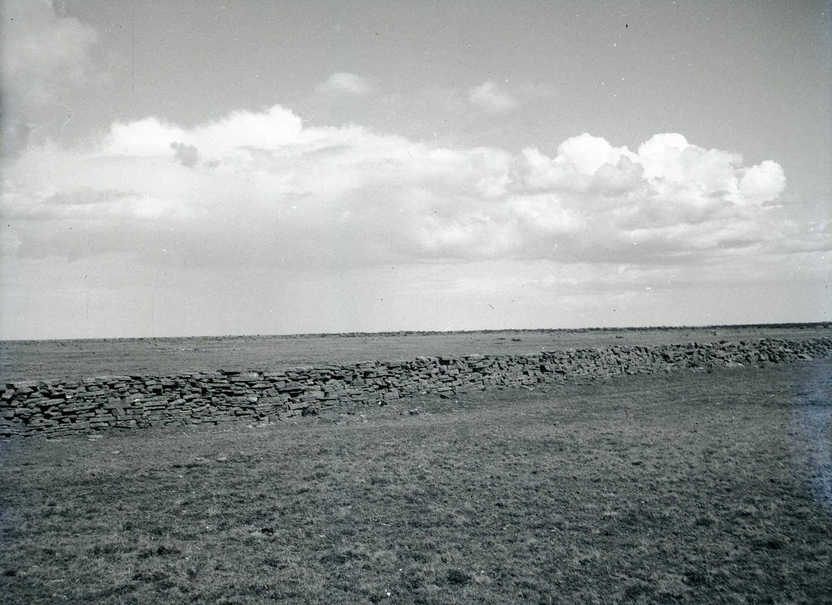 Ölands stenskiffer 1941.