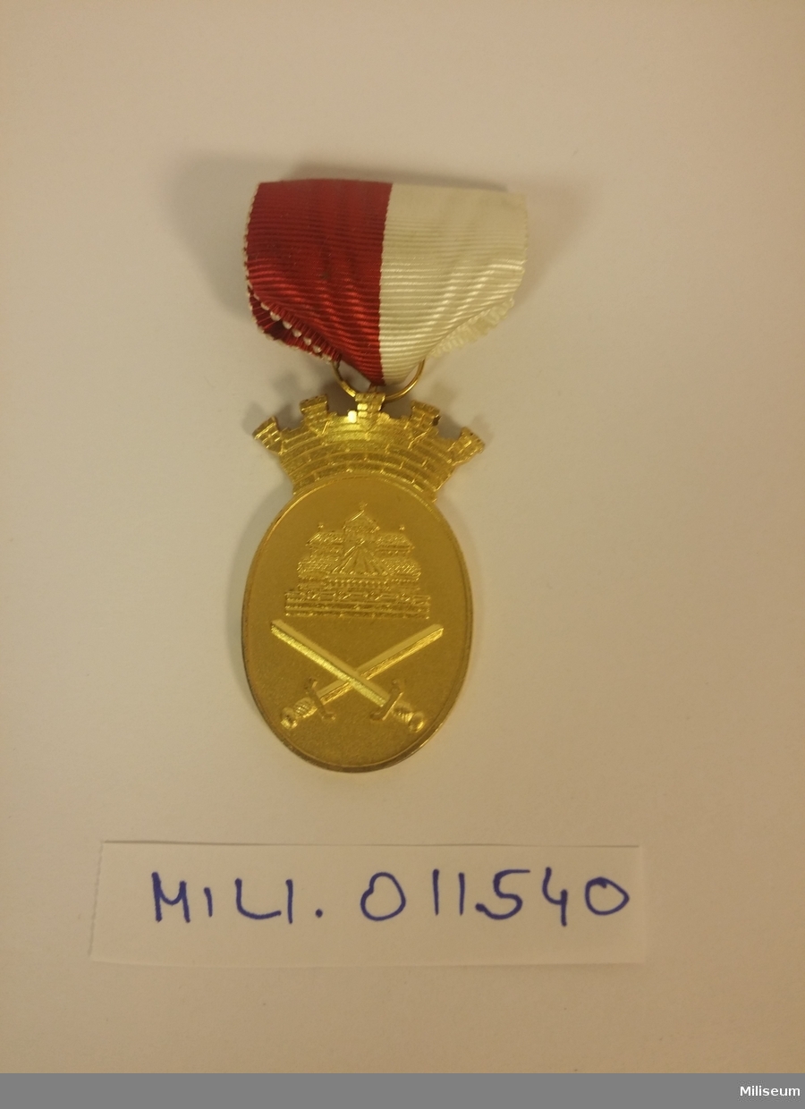 Förtjänstmedalj från Försvarsorganisationerna i valören guld (förgyllt silver).