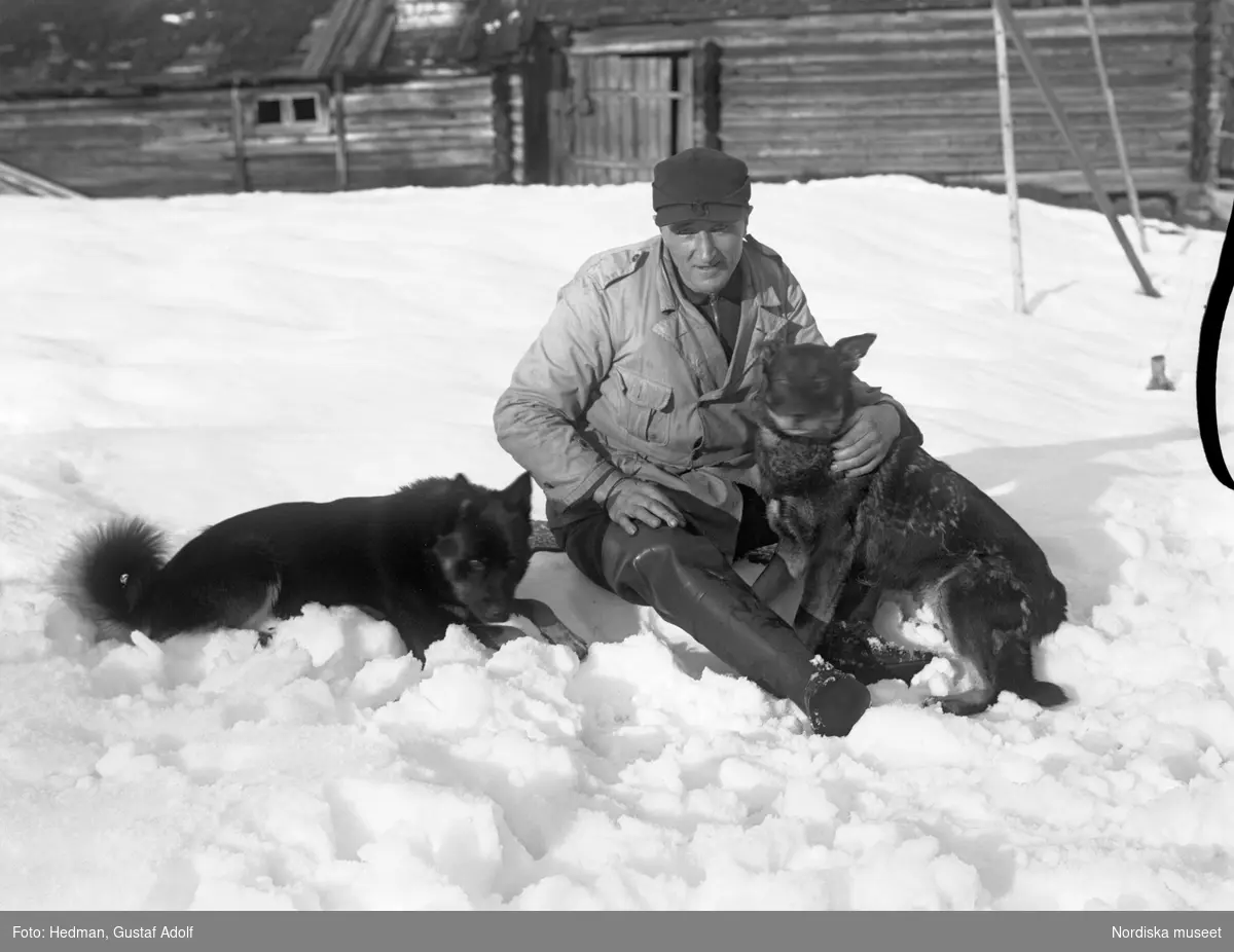Oskar Steen, Södra Brändan med hundarna ute i snön
