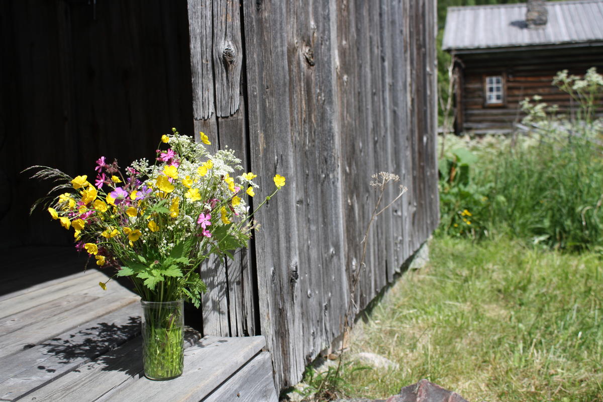 Sommer på bygdetunet. En vase med markblomster står plasser på verandaen til Målstugua.
