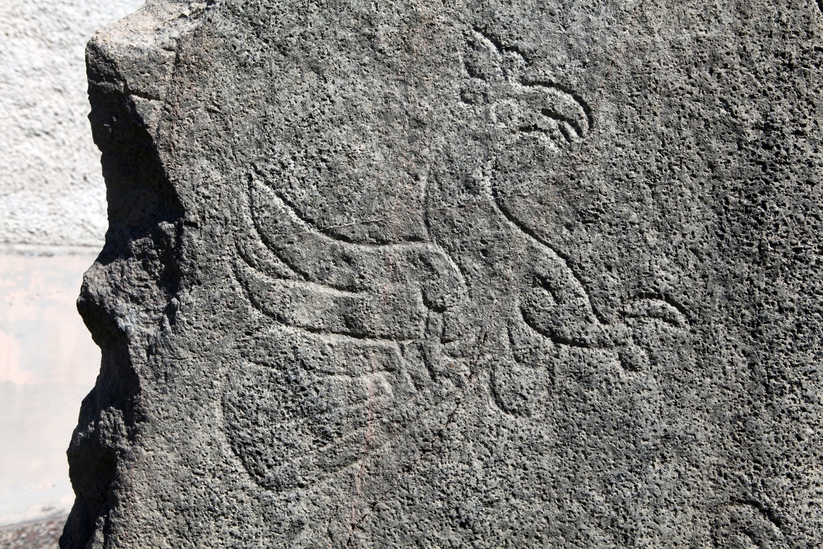 Arkeologisk schaktningsövervakning och undersökning,  fågelfiguren på runstenen U 874, Hagby kyrka, Hagby socken, Uppland 2016