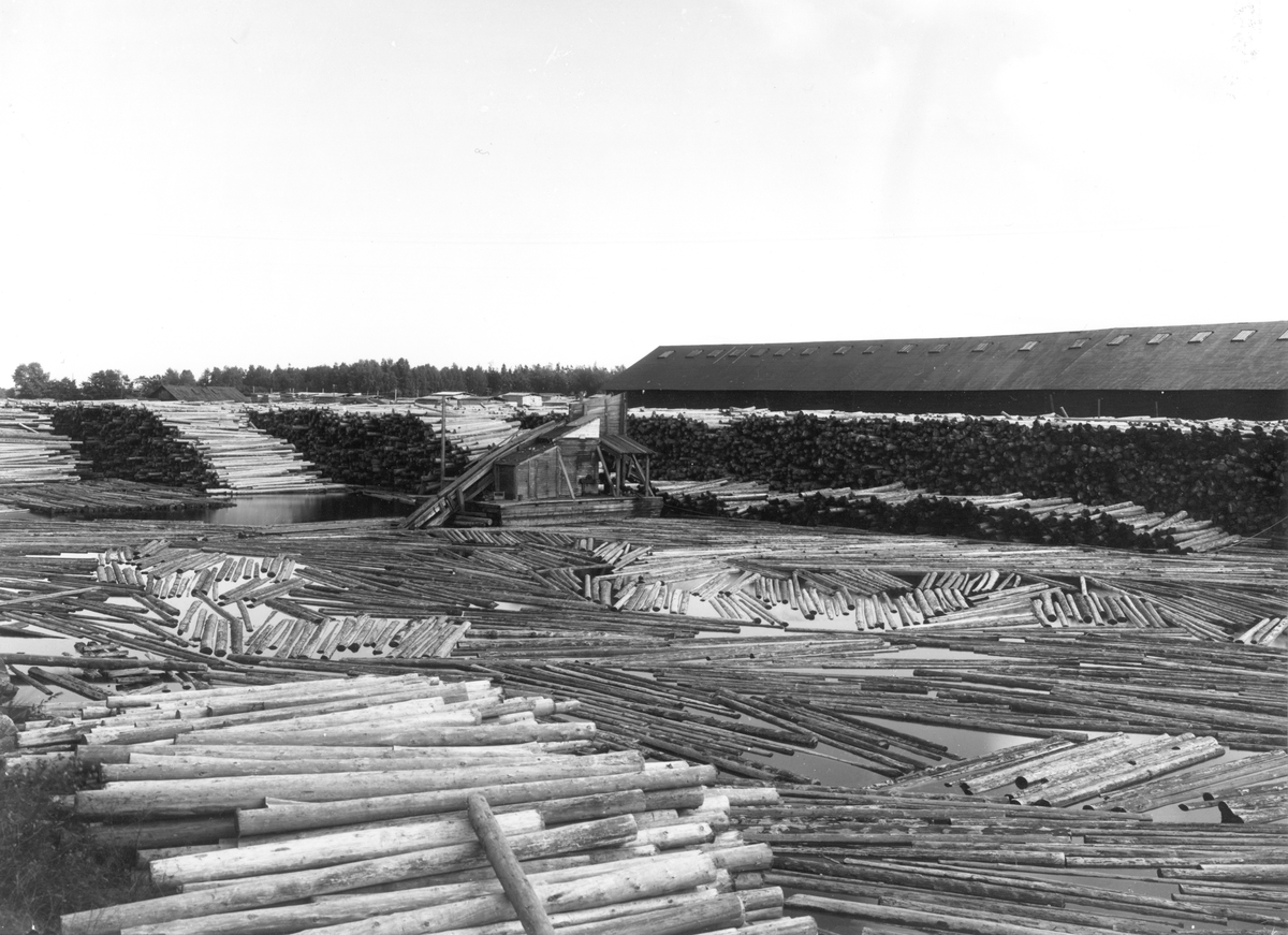 Sågen, Skutskärsverken. År 1868 bestämde sig den norska firman Astrup och Sörensen att bygga ett sågverk intill Dalälvens mynning bredvid Skutskäret. Två år senare stod sågverket klart. Astrup och Sörensen utnyttjade platsens läge genom att flotta timret på Dalälven till Marmafjärden och sedan via en flottningsränna till Skutskär. Även en hamn byggdes i anslutning till sågen. Några år senare bygges det en järnväg till sågverket. Stora Kopparbergs Bergslag köpte Skutskärssågen 1885.
År 1894 började man tillverka sulfatcellulosa av träavfallet från sågen. Denna fabrik resulterade i sedan att den sulfitfabrik byggdes 1901 som skulle kunna tillverka 10 000 ton sulfitcellulosa per år. Under åren 1932–1937 tillkom anläggningar för att kunna tillverka sulfatmassa, den blekta sulfatmassan blev känd över världen med produktnamnet Stora 32.
