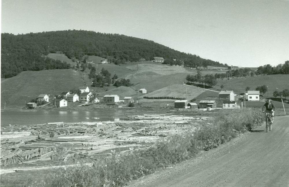 Bilder fra Halsøy. - Helgeland Museum / DigitaltMuseum