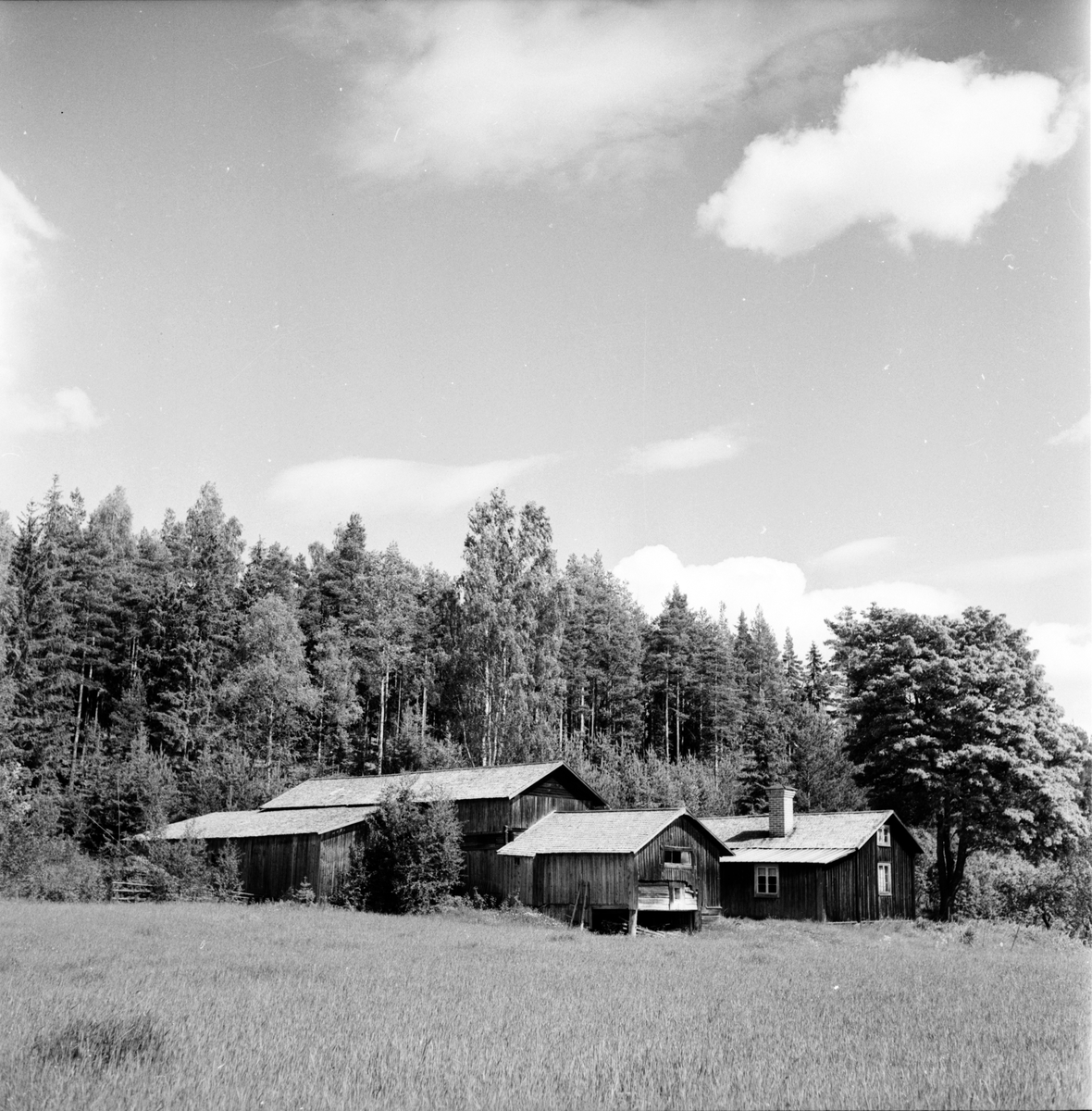 Lantbruksnämnden på besök, Regnlunds i Yxbo, Bollnäs. 
30 Maj 1956