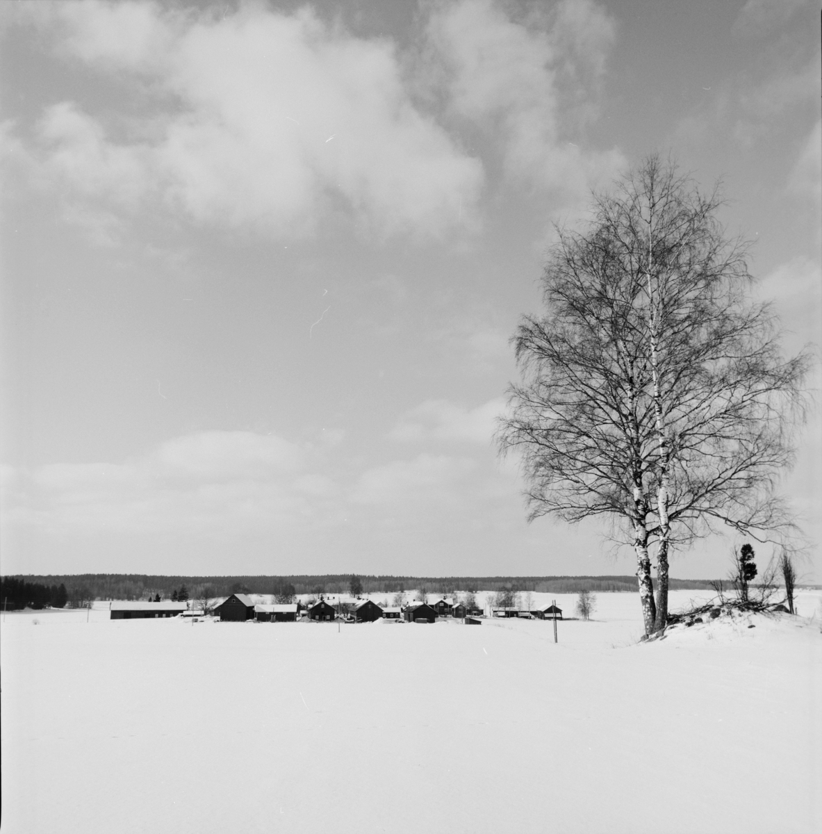 Byn Sävasta från öster, Altuna socken, Uppland 1988
