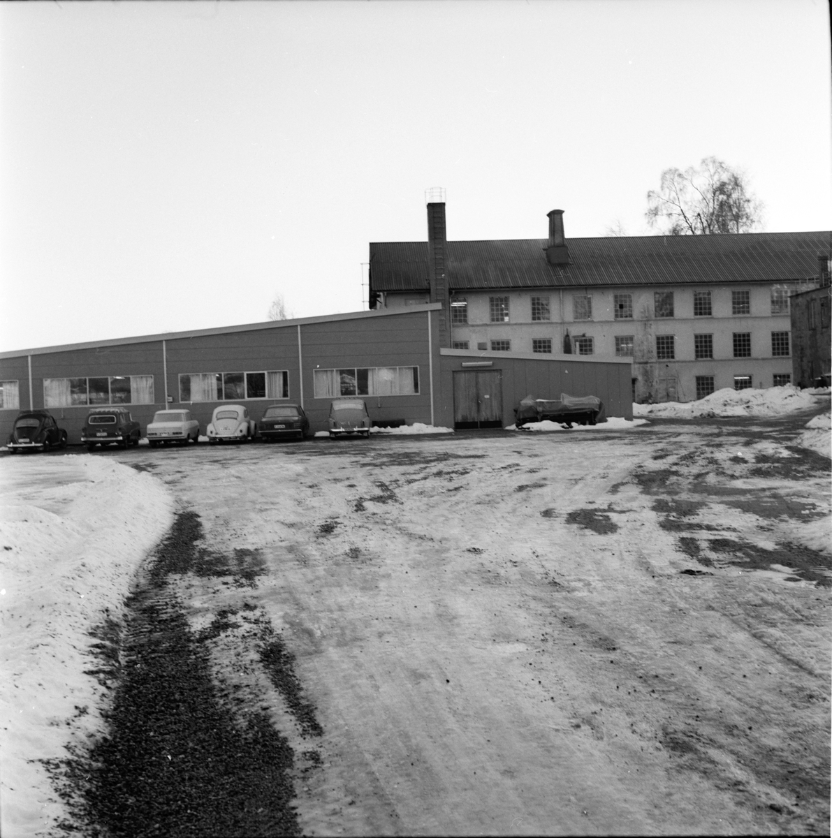 Arbrå,
Forsbro ylle,
Februari 1969