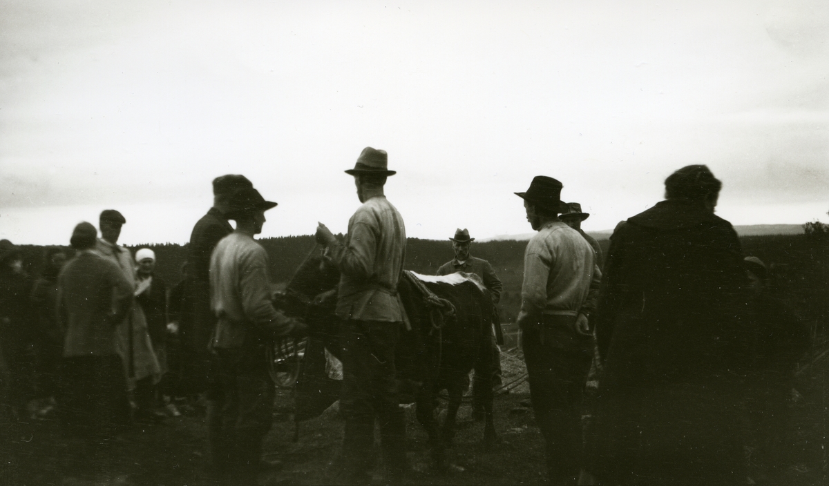 Dyreskue ved Jons sommerfjøs. En mengde menn stående rundt en okse. Bak oksen August Galaasen i Pauls (31/5 1863 - 1932)