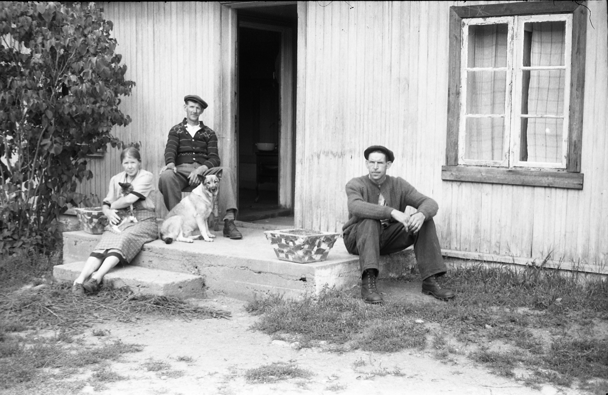 Tre personer foran våningshuset på bruket Nystuløkken på Krabyskogen. Personene er identifisert, som søsknene Villiam (til høyre), Anna og Sigurd Johansen. Serie på fem bilder.