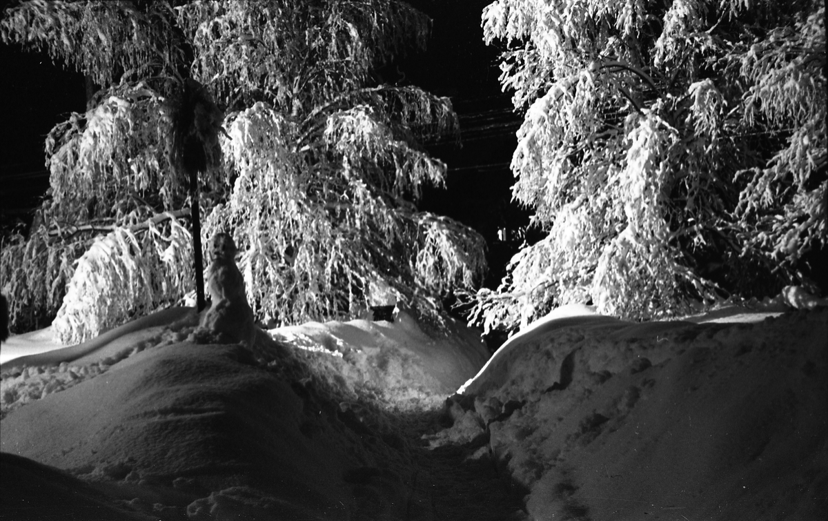 Vintermotiver januar 1948. Serie på 10 bilder.