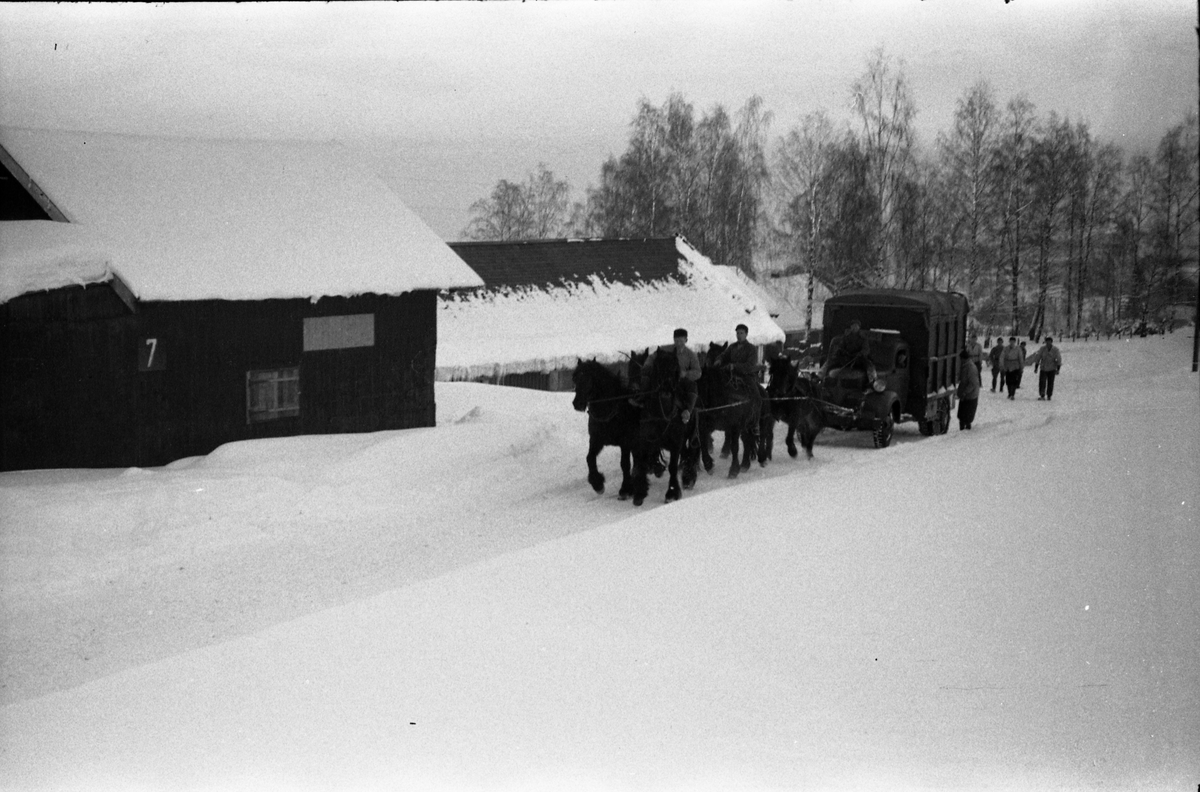 Lastebil trukket av firbente hestekrefter. Hærens Hesteskole, Starum, februar 1950.
