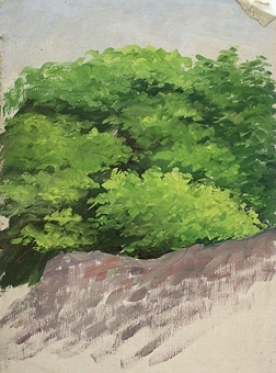 Bilden föreställer ett lummigt trädparti i gröna nyanser. Ofärdig.
Signerad.

Enligt liggaren: Tavlor, (teckningar och oljefärgstavlor). Inlagda allesammans i en pärm.