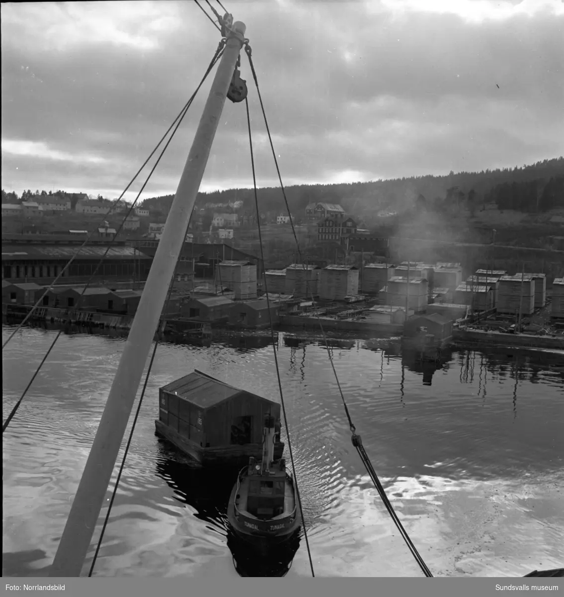 Bogserbåtar och pråmar vid Skönviks sågverk.