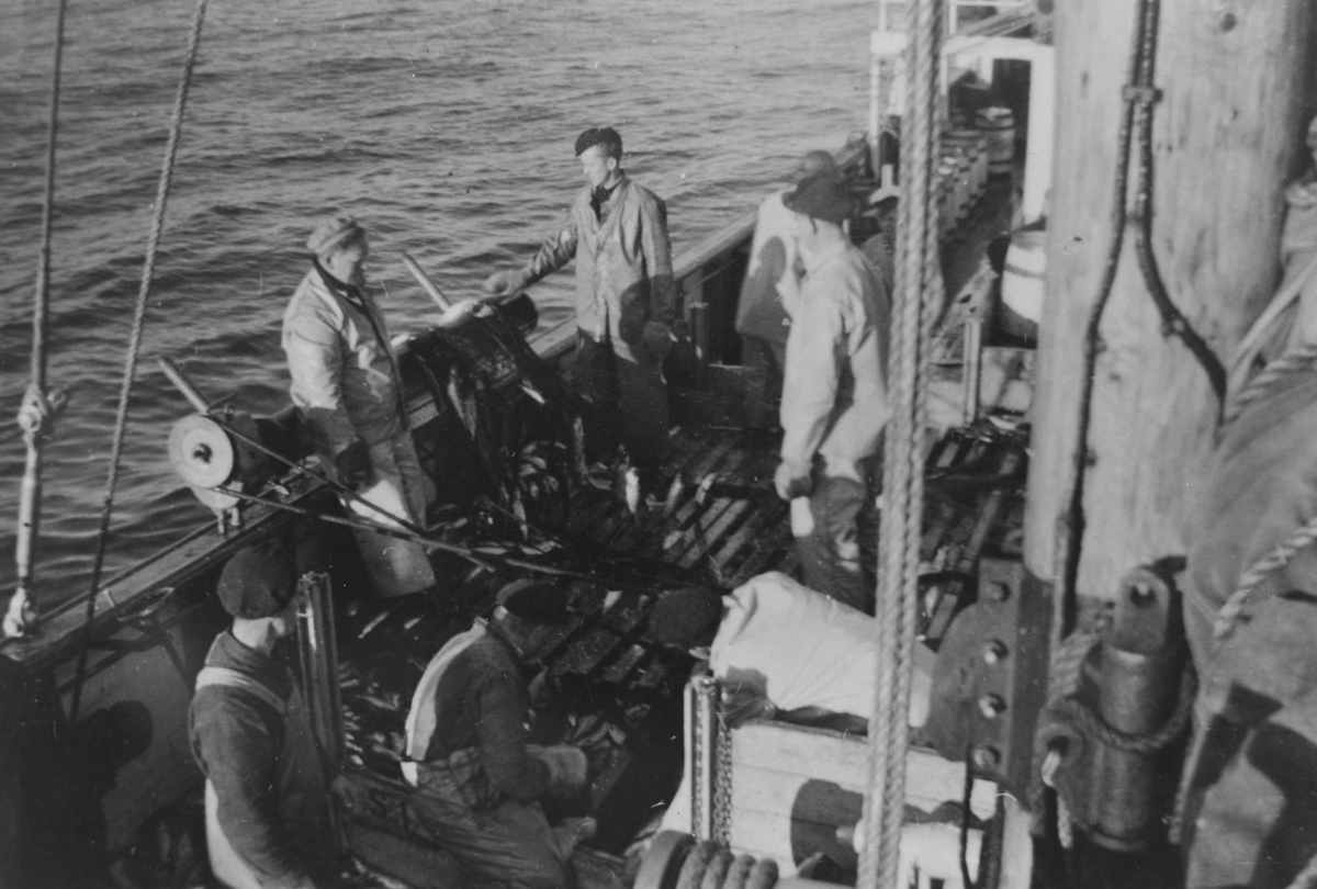Mannskapet på M/S Hustad I tar en pause på dekk under drivgarnsfiske ved Island, sommeren 1955