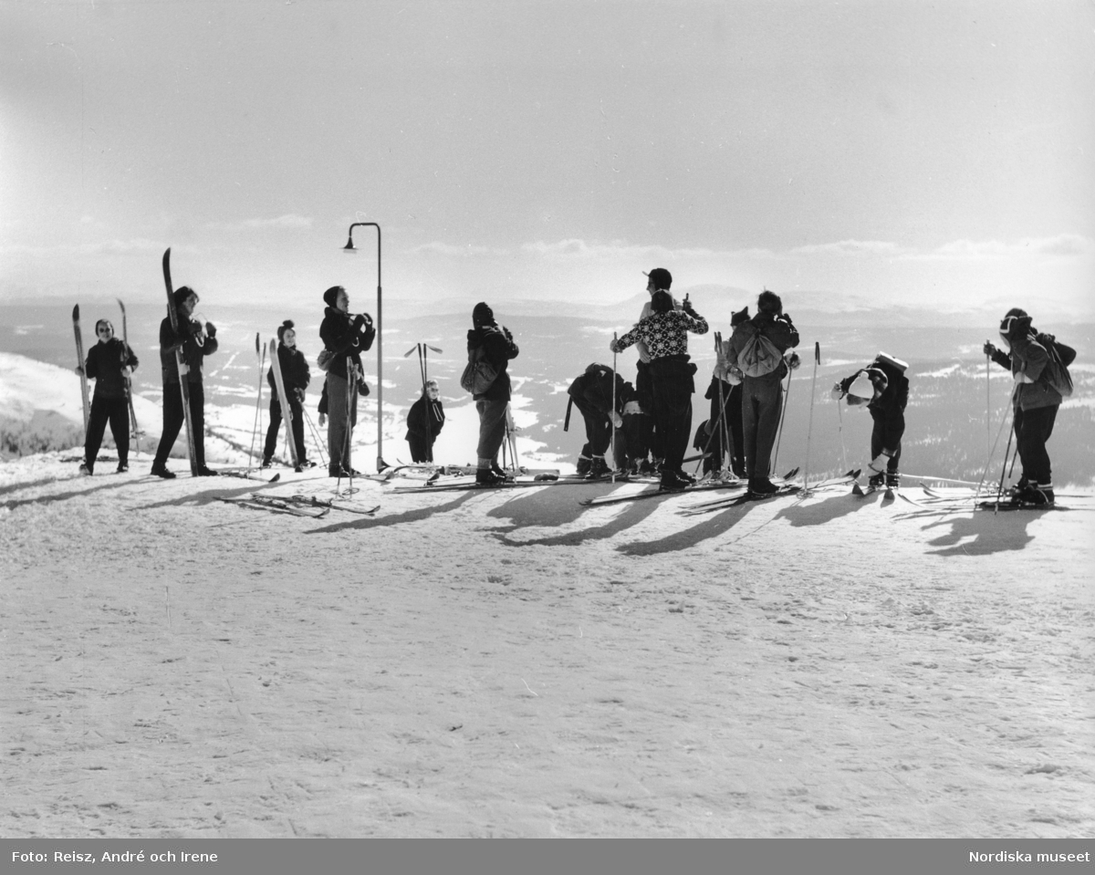 En grupp skidturister i skidbacke. Snötäckt fjällandskap i bakgrunden.