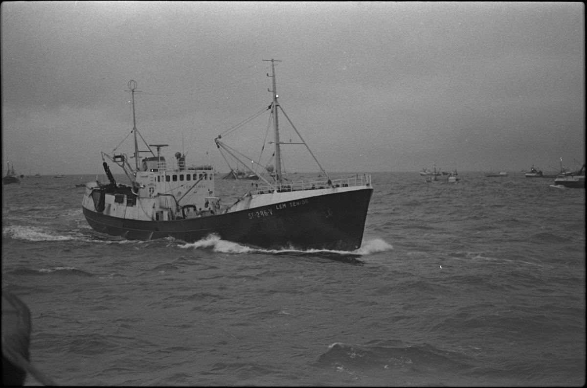 Fiskebåten "Lem senior" ute på sjøen. Den har registreringsnummer SF-246-V.