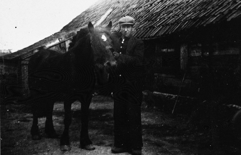 Johan J. Haugland (22.3.1900 - 5.7.1977) med hesten "Sonja" på framsida av den gamle løa.