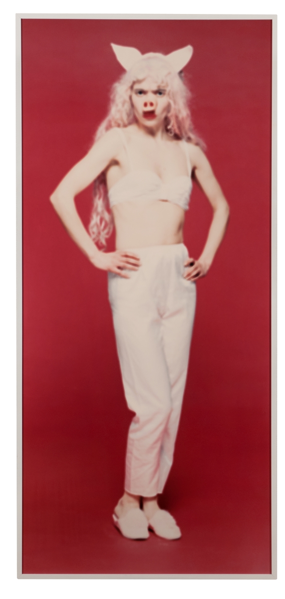 Gris, färgfotografi av Lotta Antonsson, 1994. Ur hennes fotoserie Anyway You Want Me. C-print färgfotografi, laminerat på masonit. Osignerad.
Mot röd bakgrund en stående kvinna iklädd bh, vita långbyxor, gristryne och grisöron.