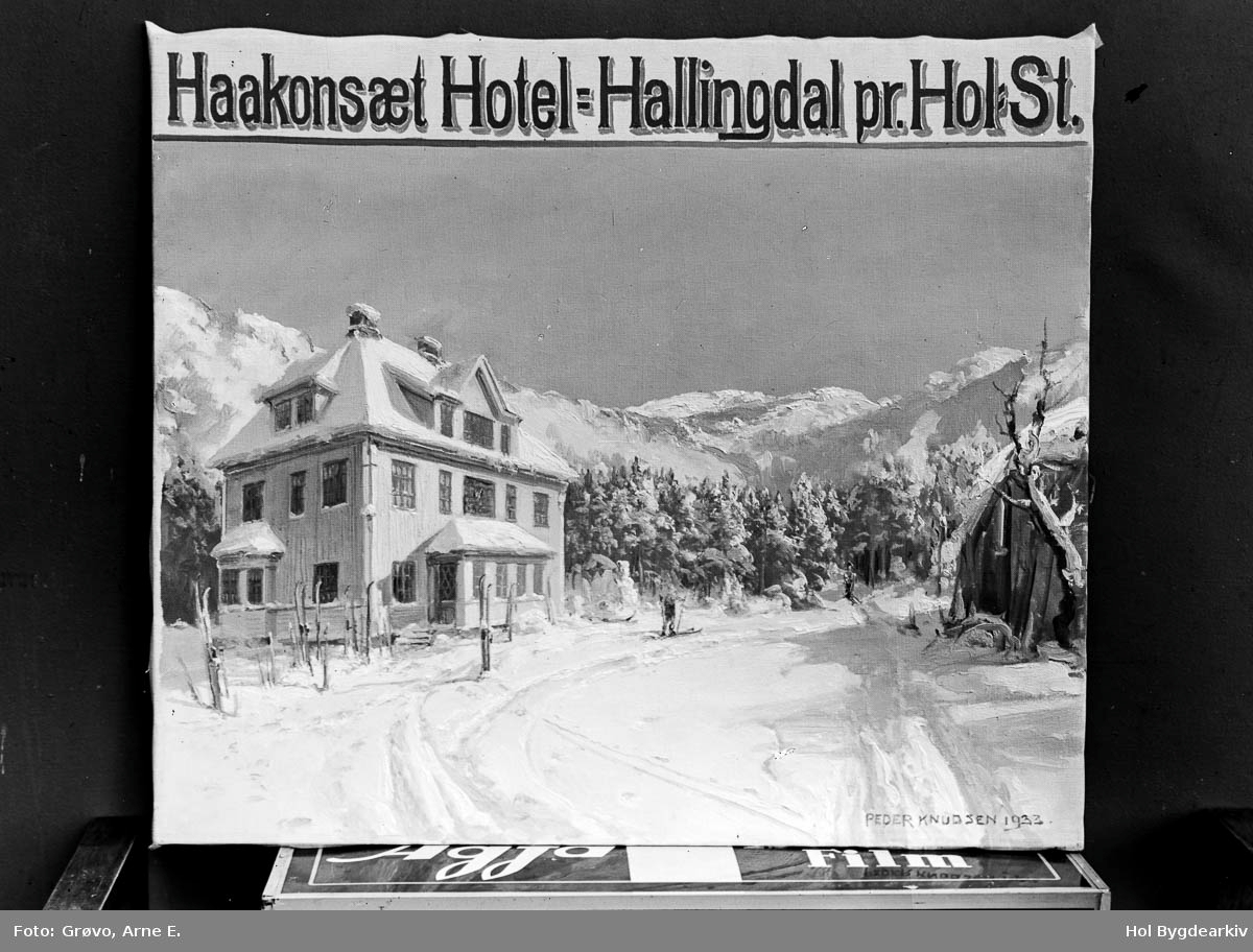 Hotel, Haakonsæt Hotel, måleri, plakat, vinter, arkitektur,