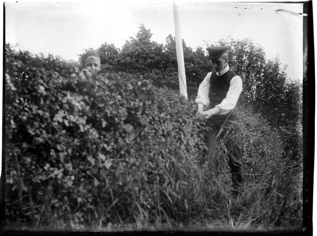 Brødrene Peter B. D. Sundt og Rolf Sundt Sr. ved hekk i ukjent hage. Antagelig fotografert 1900-03.