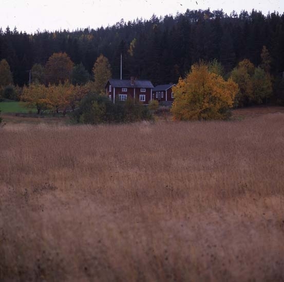 Omgiven av skog och åkrar ligger en liten gård med två byggnader. Träden har höstfärger.