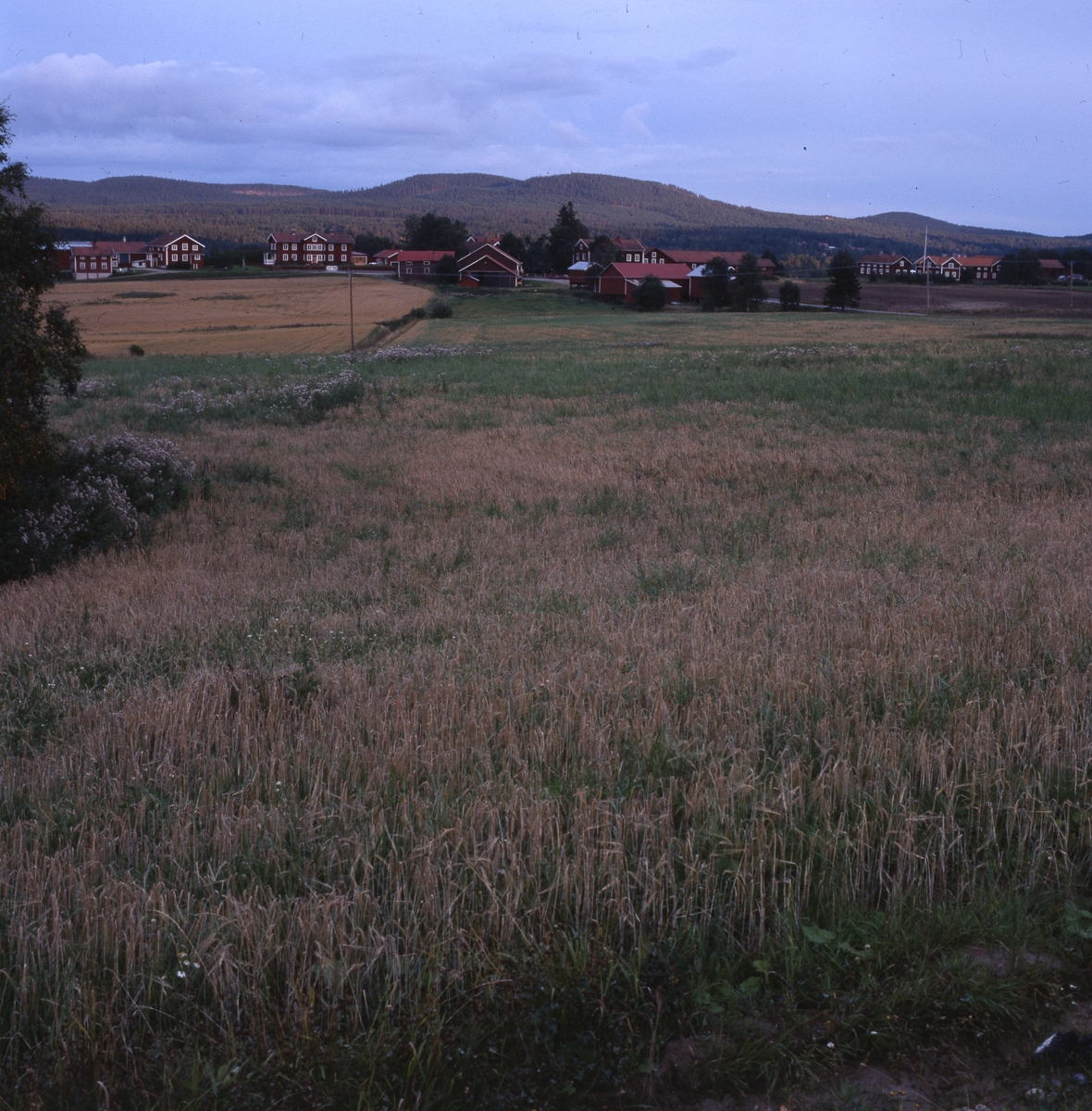 Norrvåga by i Järvsö 28 september 2001. De röda, stora hälsingegårdarna ligger som på rad med bergen i bakgrunden. Framför breder ett jordbrukslandskap ut sig.