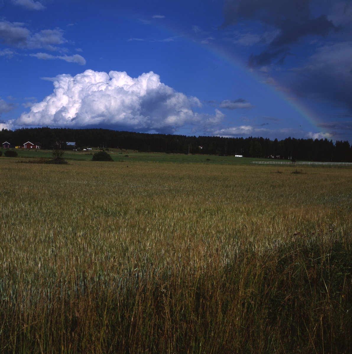 Åskmoln o svag regnbåge över gårdar och åkrar i norra Freluga, 1999.
