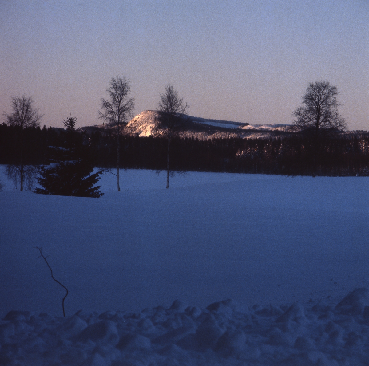 Snöigt landskap där solen lyser på ett berg i bakgrunden, januari 1982.