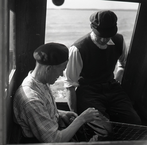 Fisketur till Enånger, på väg ut mot Kråkön, en man  arbetar med nylonnät 15 augusti 1957.