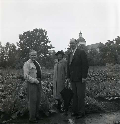 Två män och en kvinna står framför ett grönsaksland, vända mot fotografen. I bakgrunden syns en kyrka. Unga Odlare, Söderhjelm med, augusti - september 1950.