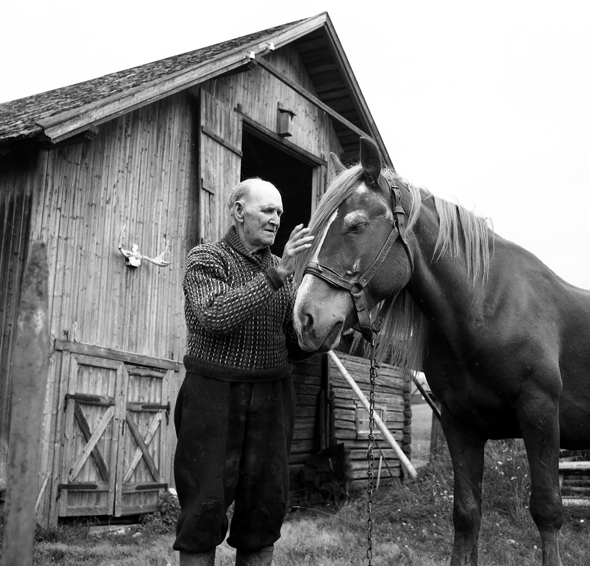 Otto Horndal,Horndalen,med hest