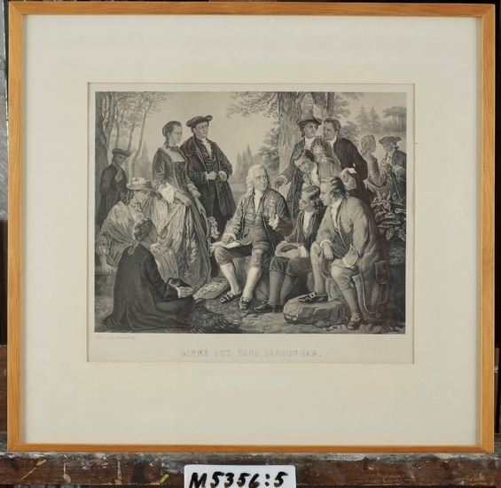 Tonlitografi på papper. 
Linné och hans lärjungar. 
Linné i helfigur, sittande samt 12 andra personer avbildade å
samma blad.