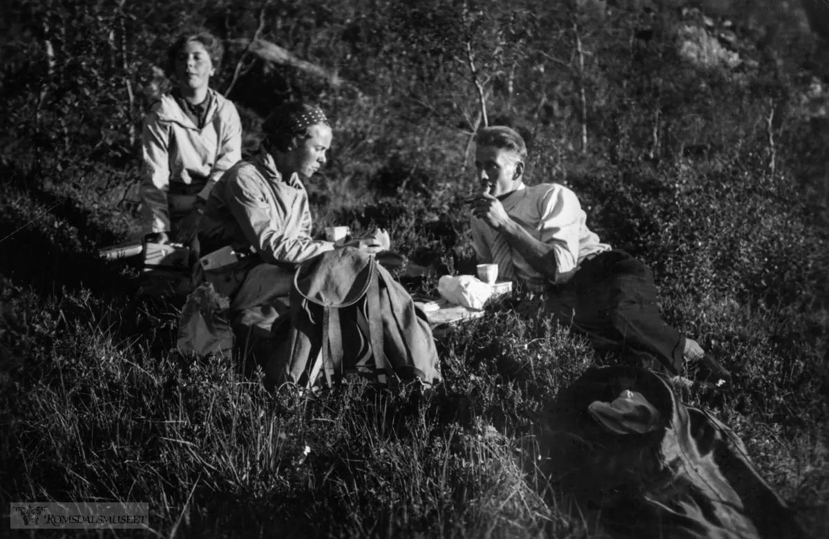 "Eikesdalen sommeren 1937".Ved Eikesdalsvatnet, mot Mardalen..