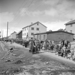 Vadsø 17 mai 1952. Folketog på vei østover i Havnegata.