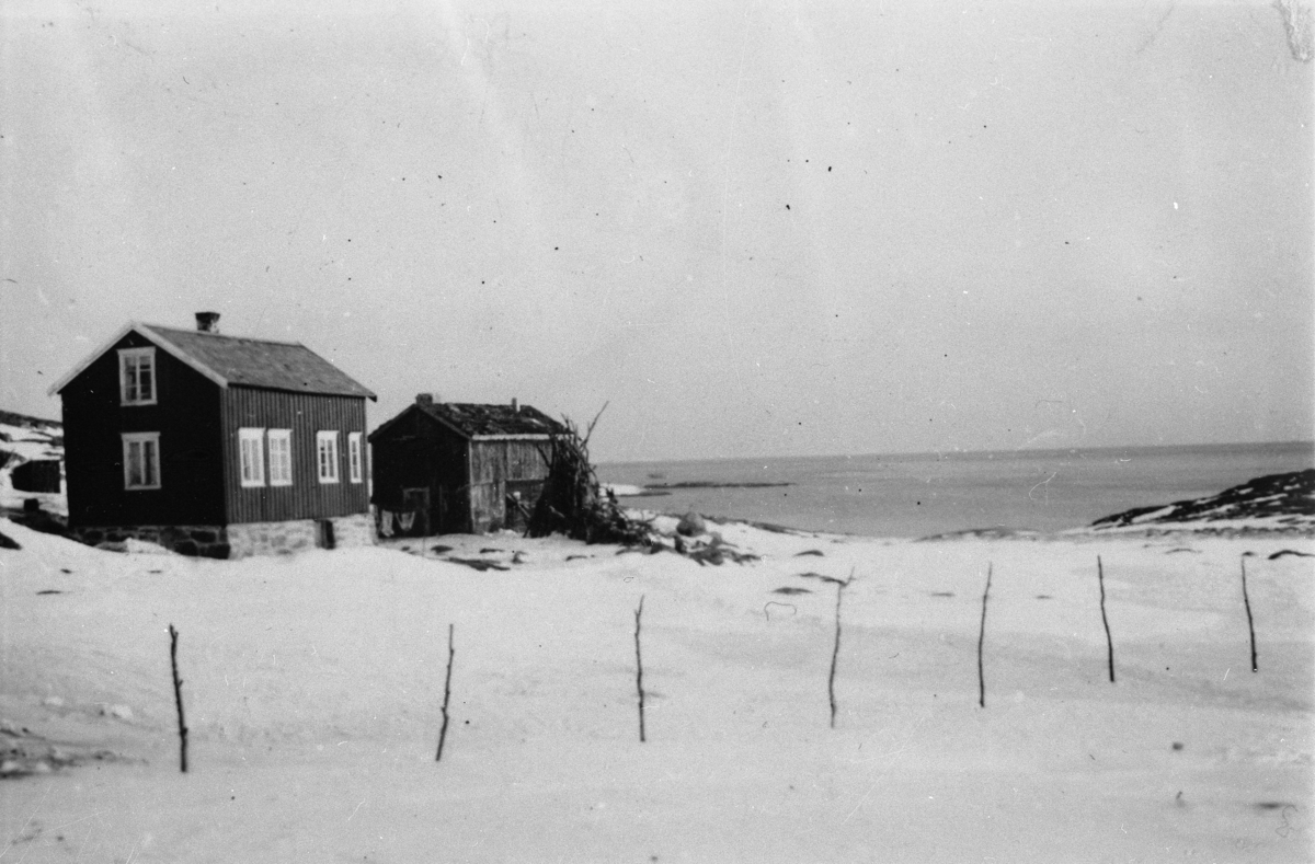 Nils Isaksens gård i Sjursvik Bjarkøy/Tranøy. 1938.
