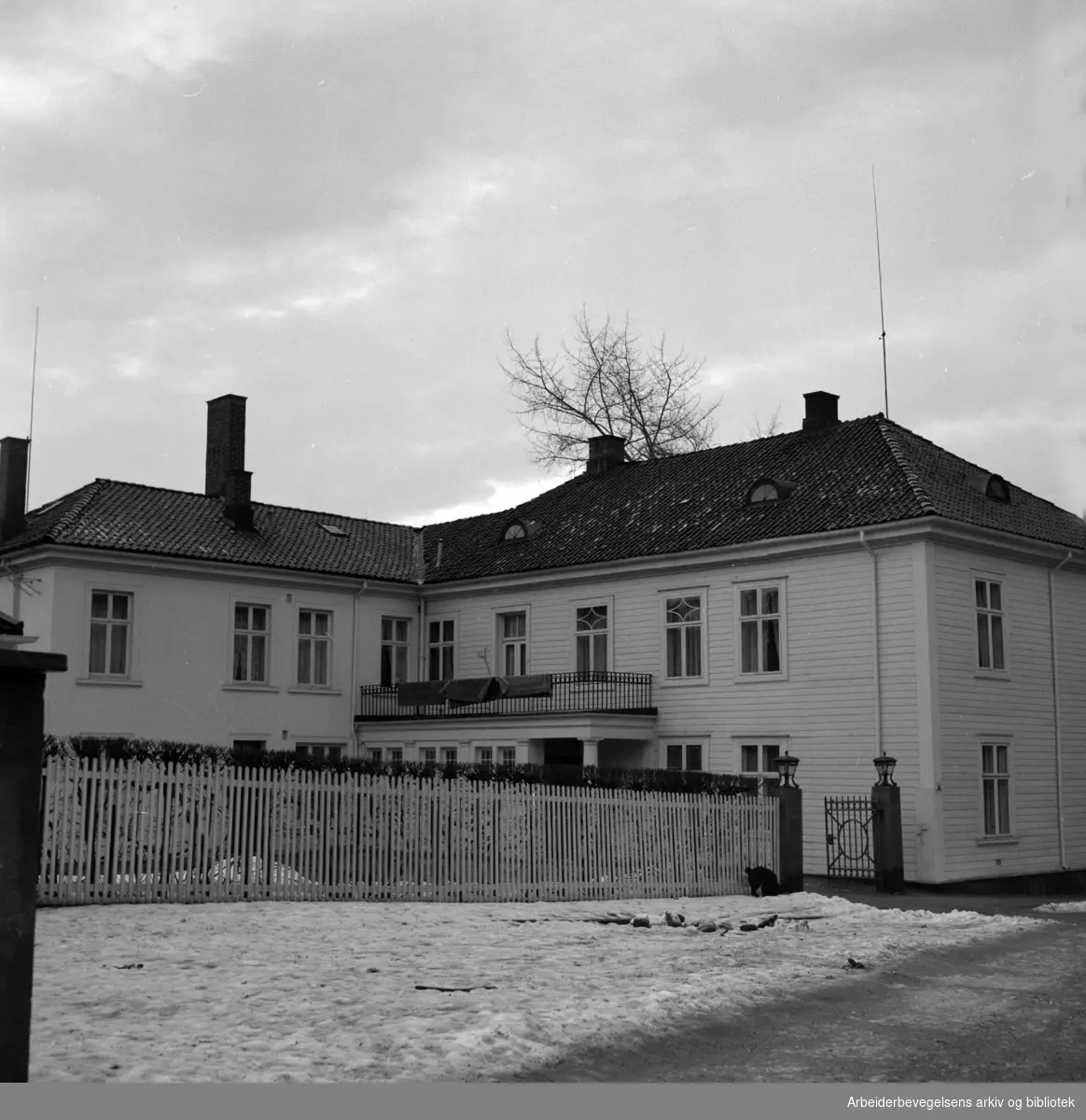 Niels Juels gate 11. Skillebekkløkkas hovedbygning. Januar 1954