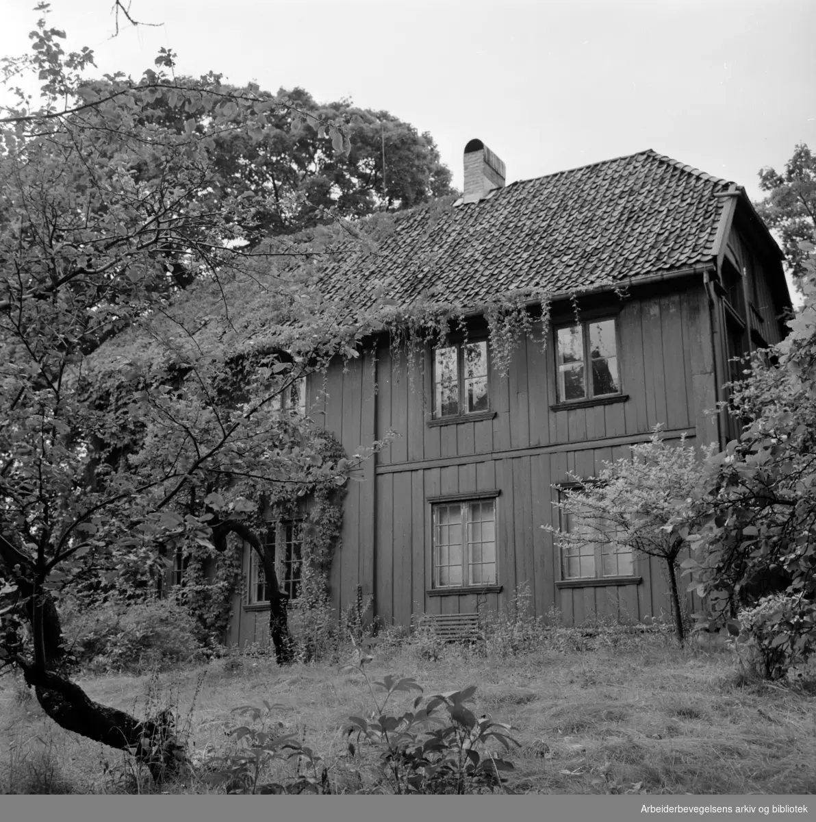 Majorstuveien 8. Maleren Amaldus Nielsens gamle hus, som midlertidig skal nyttes til sosialkontor. September 1965