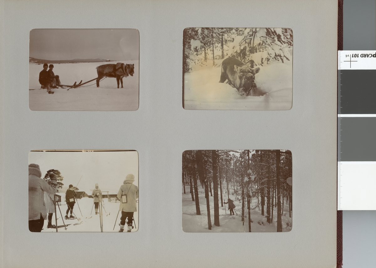 Män och ren i vinterlandskap, Smålands husarregemente K 4 på vinterövning i Norrbotten omkring 1910.