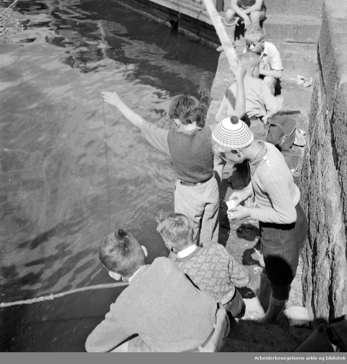 Havna. Bryggefiskere. Juli 1950