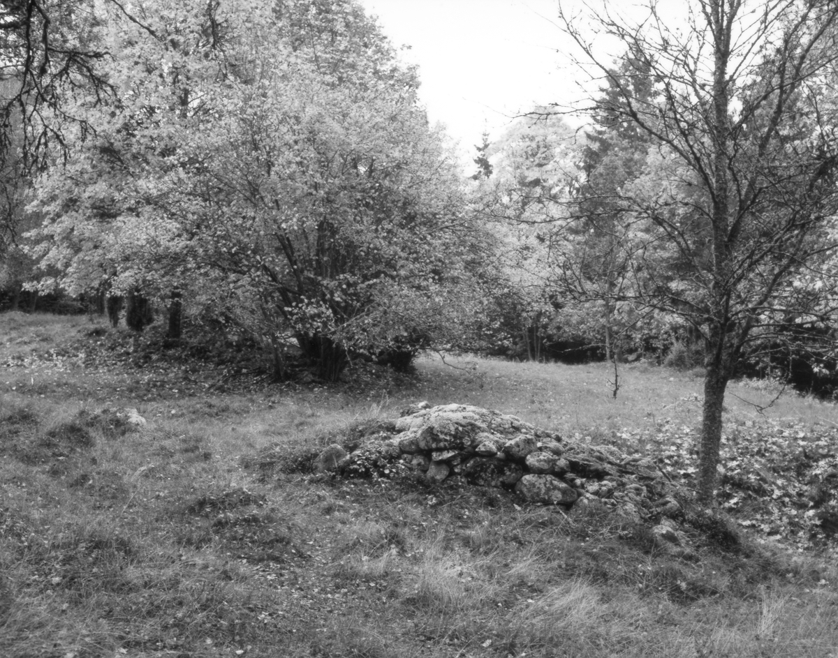 En löväng söder om Sötåsa i Gällaryds socken, med främst hasselbuskar och gamla ekar.