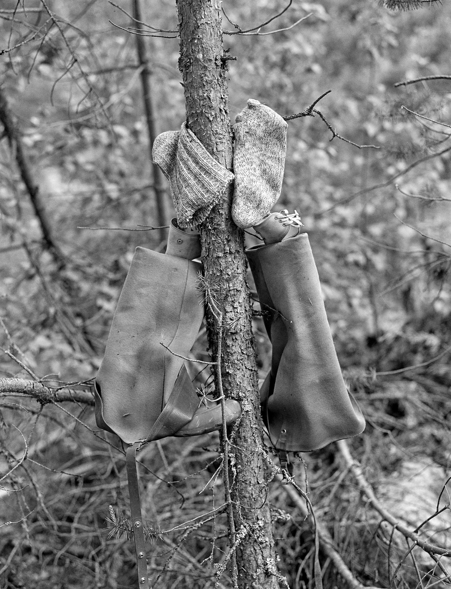 Tørking av vadere og sokker, opphengt på en liten furustamme mens fløterne kvilte ved Kvernfallet i elva Søndre Osa, Åmot i Østerdalen, i 1981. Fotografiet ble tatt mens fløterne hadde matpause.