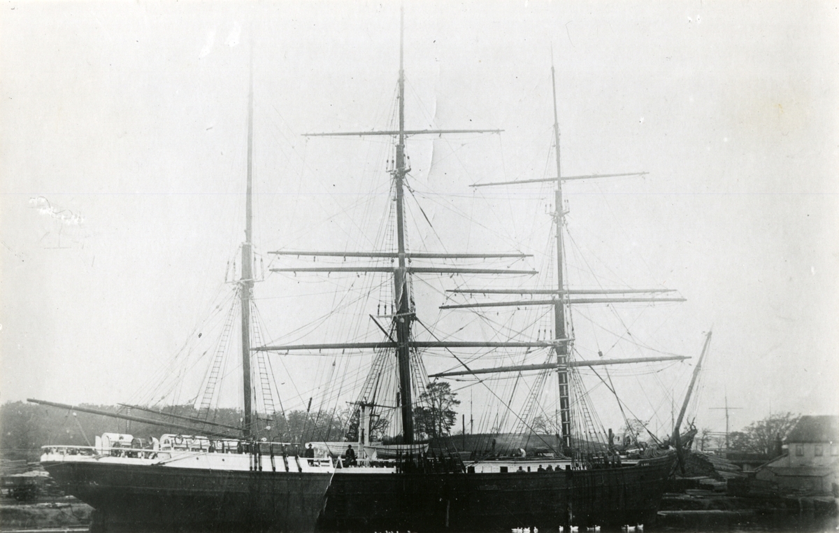 Bark 'Carsten Boe' (ex canadisk 'Hazelhurst')(b.1876, Pickles &  Mills, Annapolis, Nova Scotia, Canada)