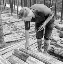 Tømmermåling på ei strøvelte i Åmli i Aust-Agder.  Bildet vi