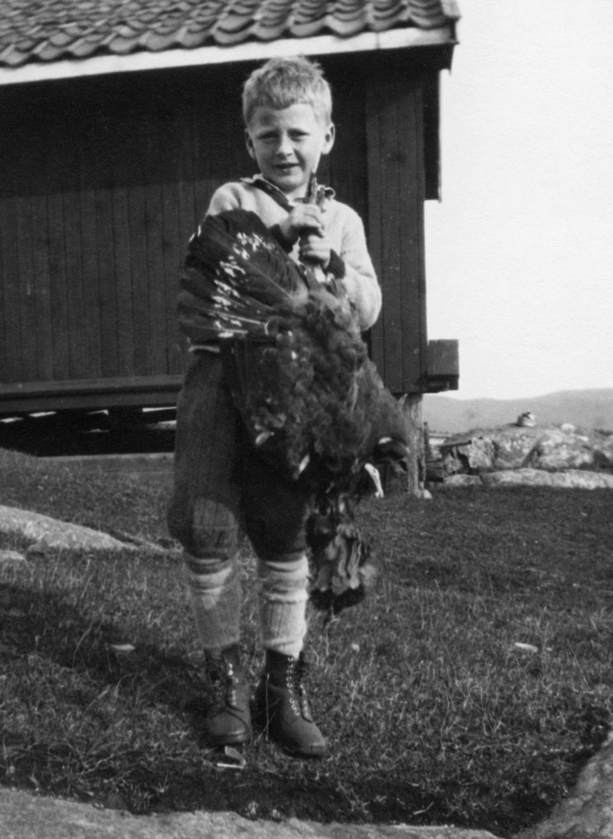 Seksåringen Knud Maartmann fra Gjøvik fotografert med en storfugl høsten 1927.  Knud er kledd i busserull, nikkersbukser og beksømsko, og han holder fuglen etter beina (med hodet ned).  I bakgrunnen et bordkledd hus med krumsteinstak.  Mye tyder på at dette fotografiet er tatt i et fjellandskap, antakelig på en sætervoll. 