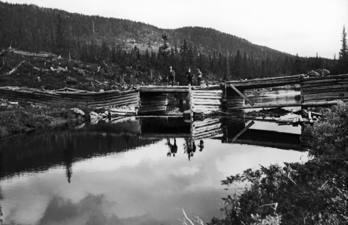Nilsbudammen i Skirvavassdraget (også stavet «Skjerva») i Tinn i Telemark, slik den så ut omkring 1910.  Denne dammen skal ha vært bygd i 1891-92, altså snaut 20 år før bildet ble tatt.  I så fall må forfallet ha skjedd raskt.  Det vi ser er en steinfylt tømmerkistedam med to løp, som later til å ha hatt nålestengsel.  Dammen er preget av betydelige råte- og setningsskader.  Golvinga i det nærmeste damløpet fløt over vannspeilet.  En hovedårsak til skadene skal ha vært at dammen var reist delvis på sandgrunn, som til dels ble undervasket.  Tre menn sto på den ene dambrua da fotografiet ble tatt, sannsynligvis under ei befaring, før denne dammen skulle fornyes.  I lia i bakgrunnen ser vi fjellskog med gran som dominerende treslag.  Den forfalne tømmerkistedammen i Skjerva ved Nilsbu ble i 1910-11 erstattet av en ny dam, se SJF-F. 007534. 