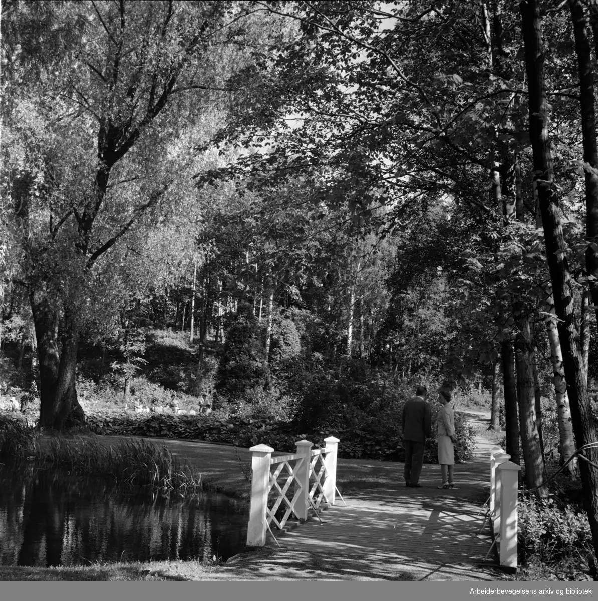 Bygdøy Kongsgård. Parken åpen for publikum. Juli 1964